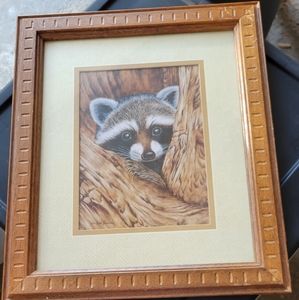Framed raccoon art